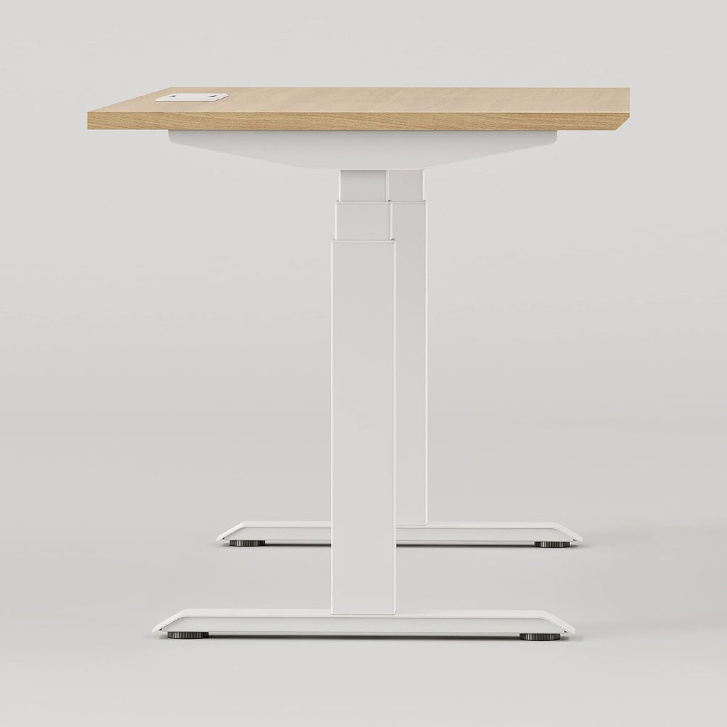 Dual‑Motor Adjustable Standing Desk