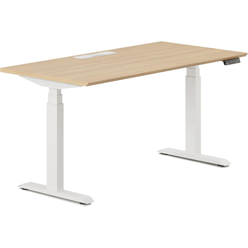 Dual‑Motor Adjustable Standing Desk