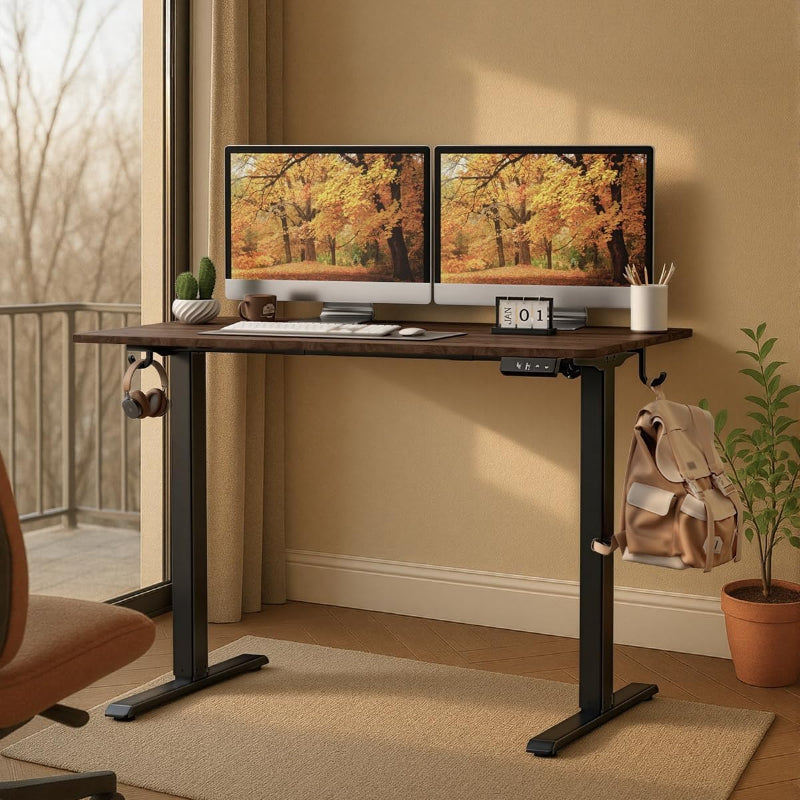 Electric Adjustable Gaming Standing Desk